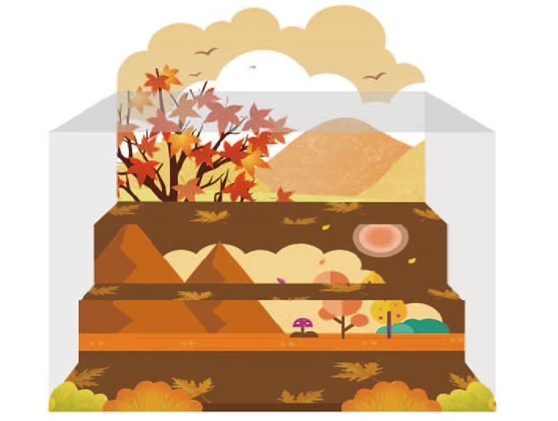 PinoQ盲盒：旅行家